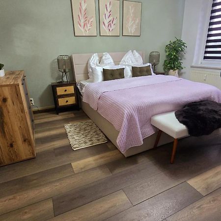 Cozy Pet-Friendly Apartment Meißen المظهر الخارجي الصورة